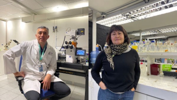 imagen Académicos se capacitan en Metodología Internacional COIL: “podemos seguir haciendo la docencia como se ha hecho siempre o tomar esta herramienta para estar al día a nivel internacional”