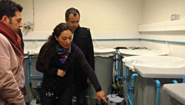 imagen Centro de Biotecnología Acuícola inaugura nueva Unidad Experimental de Peces