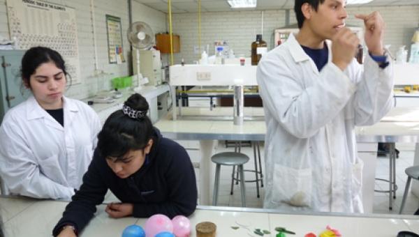 Estudiantes diseñan proyecto para acercar enseñanza de la ciencia a Liceo de la red propedéutico
