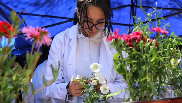 imagen Actividad desarrollada en la Facultad de Química y Biología permitió a estudiantes explorar la biodiversidad “sin la necesidad de tener un laboratorio”